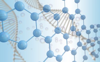 The Energy Theory of Aging: Mitochondria, NAD⁺ and ATP